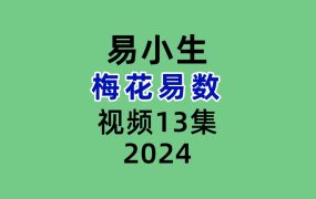 易小生梅花易数13集