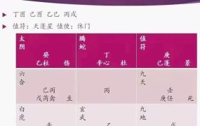 刘文元弟子晓午2022年12月奇门视频+课件