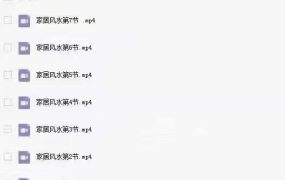 童坤元家居风水实战班视频7集