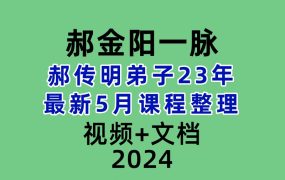 郝金阳一脉郝传明弟子23年最新5月课程整理22集视频