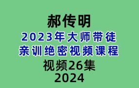 2023年郝传明大师带徒亲训绝密视频26集