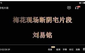 刘易铭梅花易数断卦案例，视频35集