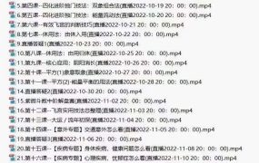 陈小飞钦天门紫微斗数进阶完整版，27集视频