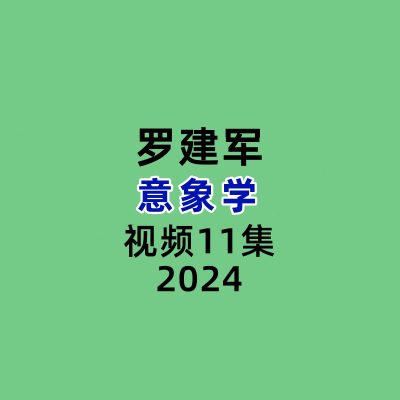 罗建军意象学视频11集