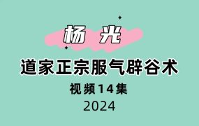 杨光 道家正宗服气辟谷术14集
