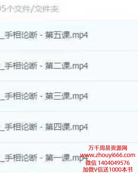 周心辰手相论断5集视频