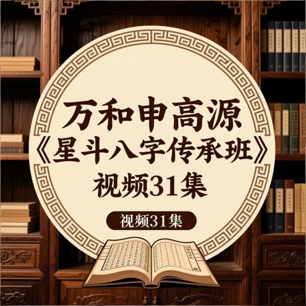万和申高源《星斗八字传承班》视频31集
