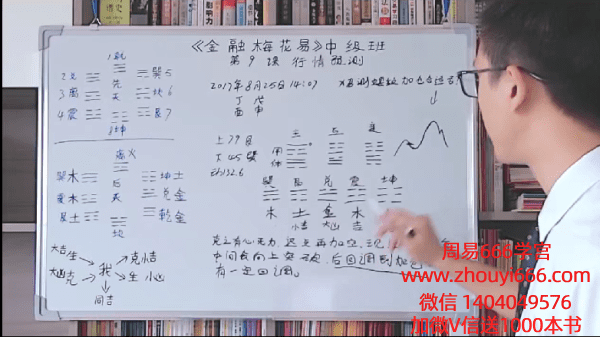 苏志荣金融梅花易初级16集视频+中阶10集视频 两套合集