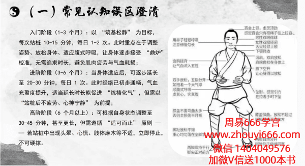 知易而行梁兴杨梁兴扬站桩养生功 7集视频+课件