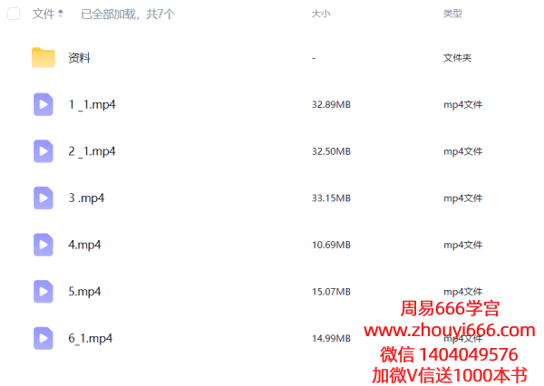 元皇驱邪护身兵马法旨全宗 视频+课件