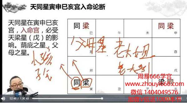 午阳紫薇斗数终极班25集视频+课件49本