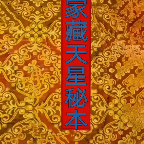 赖布衣风水书籍《家藏天星秘本》 三卷合一共474页