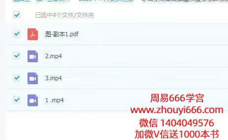 郭法清《茅山祭炼雄黄旗·驱邪护身法》 视频+课件