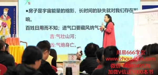 徐子辰《环境能量研讨会》教学视频16集，每集1 个多小时